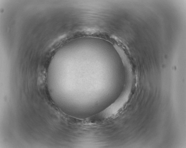 X0000087591349200705112253