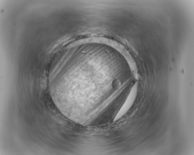 X0000087591350200705112253