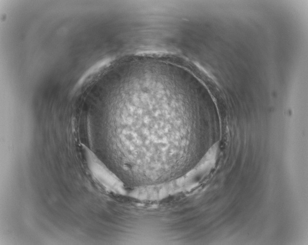 X0000087591351200705112253