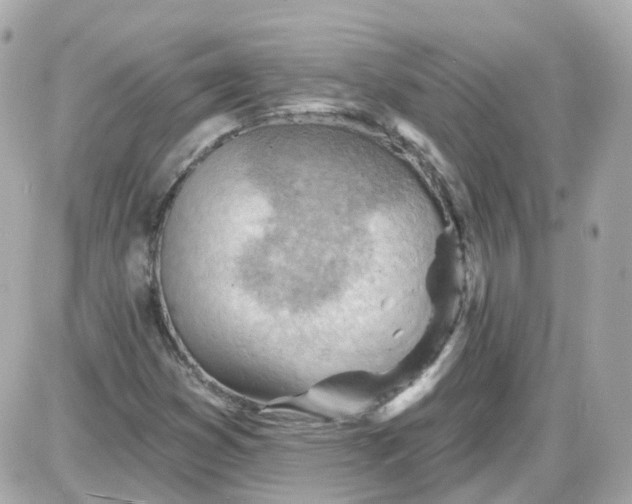 X0000087591353200705112253