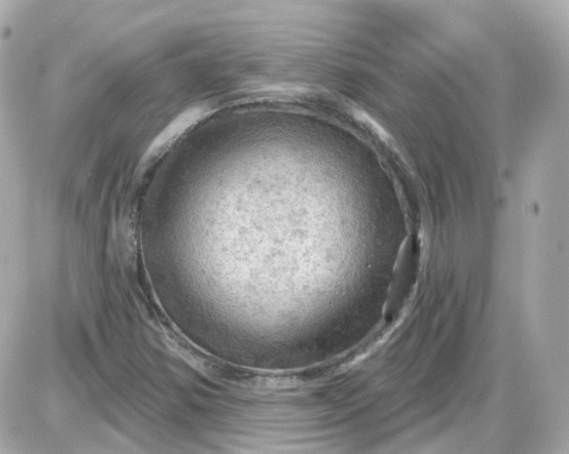 X0000087591354200705112253