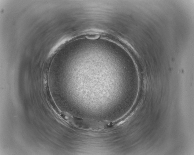 X0000087591355200705112253