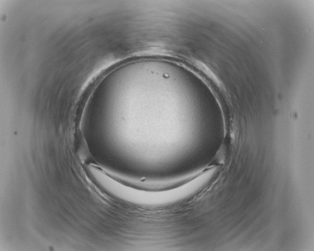 X0000087591356200705112253