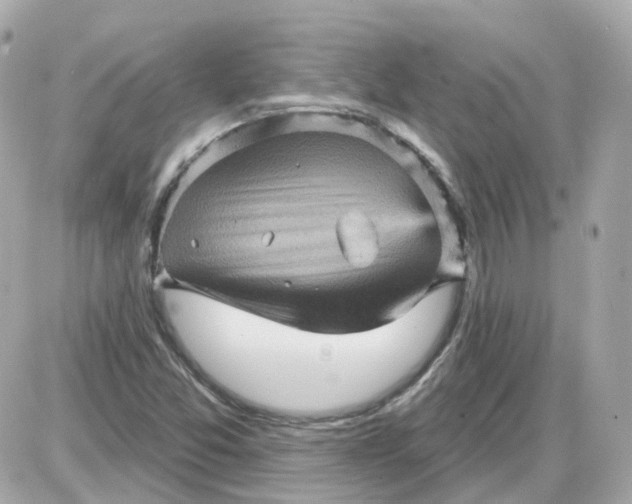 X0000087591357200705112253