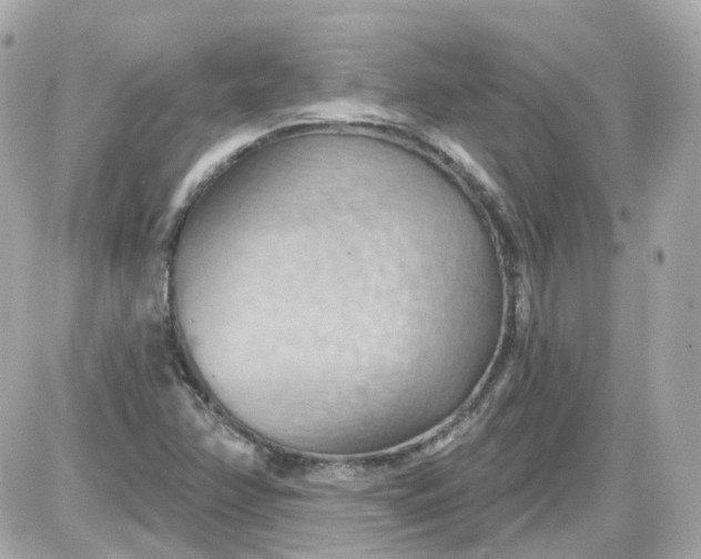 X0000087591358200705112253