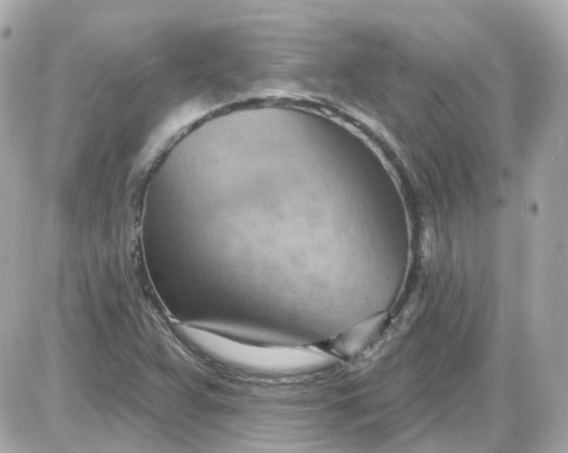 X0000087591359200705112253