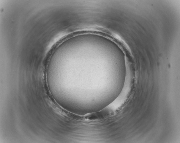 X0000087591360200705112253