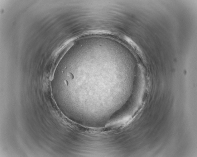 X0000087591361200705112252