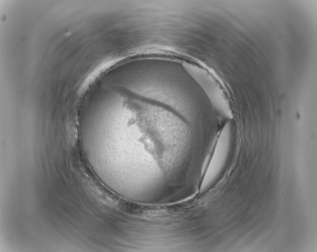 X0000087591363200705112252