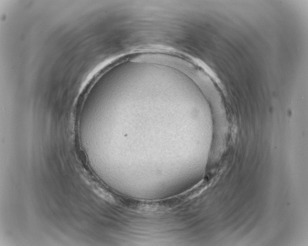 X0000087591364200705112252