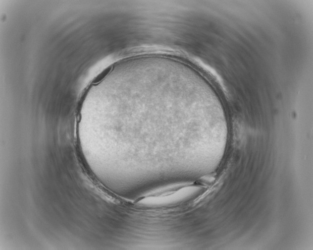 X0000087591365200705112252