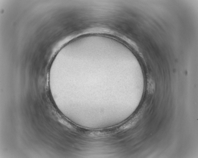 X0000087591366200705112252