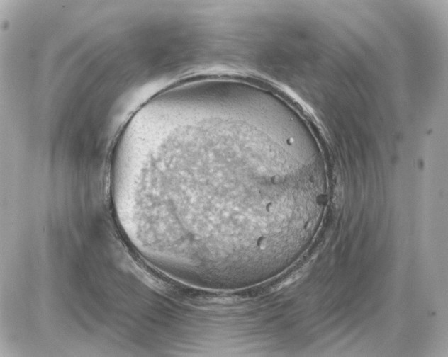 X0000087591367200705112252