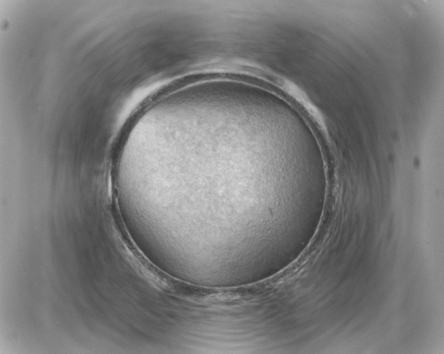 X0000087591368200705112252