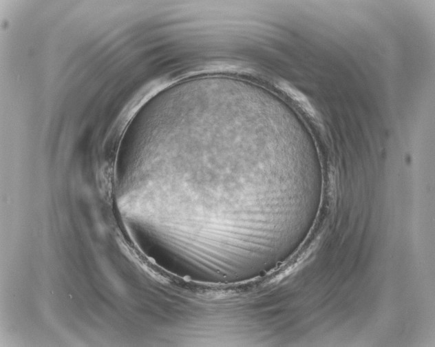 X0000087591369200705112252