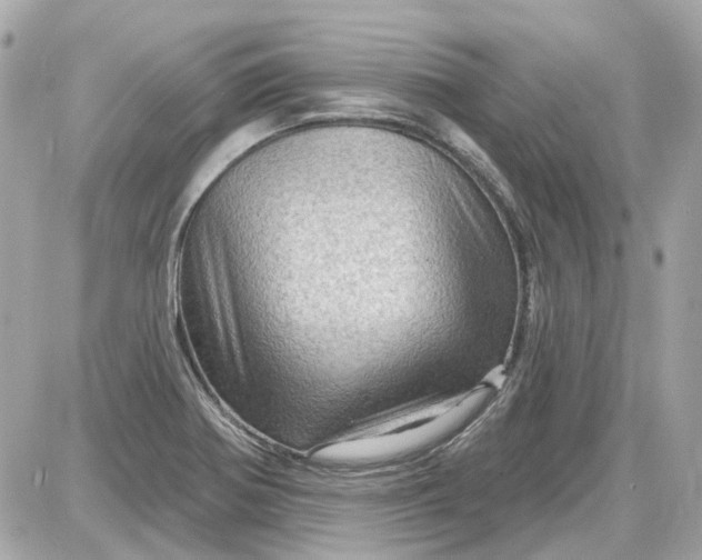 X0000087591370200705112252