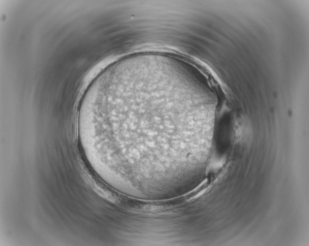 X0000087591371200705112252