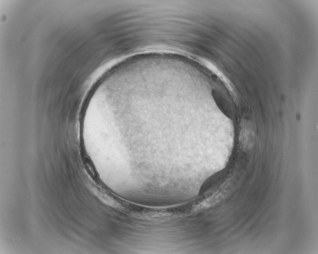 X0000087591372200705112252