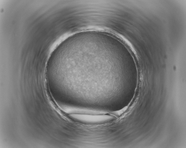 X0000087591373200705112252