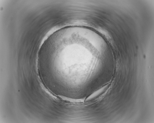 X0000087591374200705112252