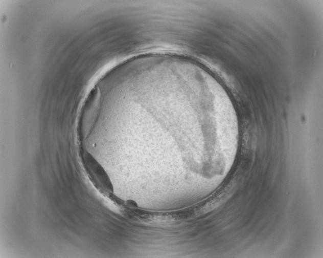 X0000087591375200705112252