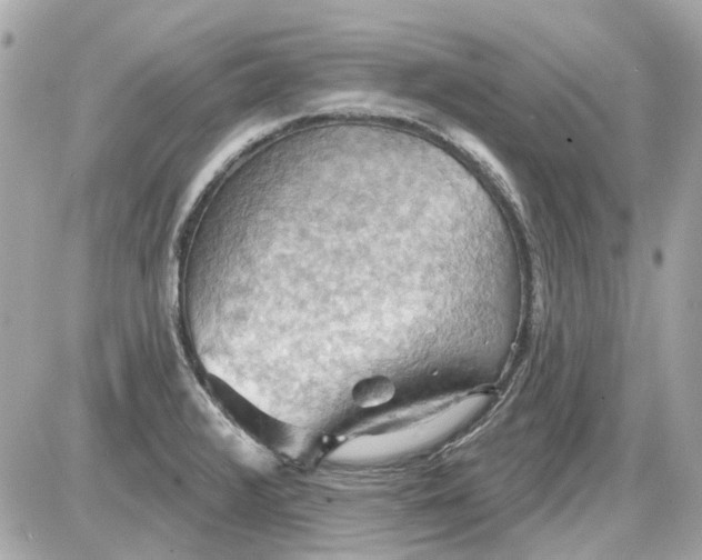 X0000087591376200705112252