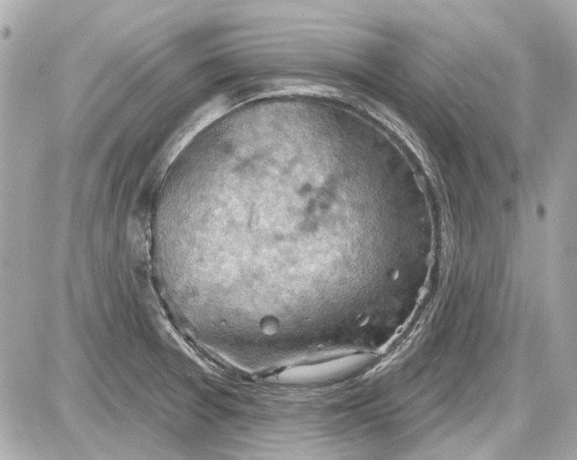 X0000087591377200705112252