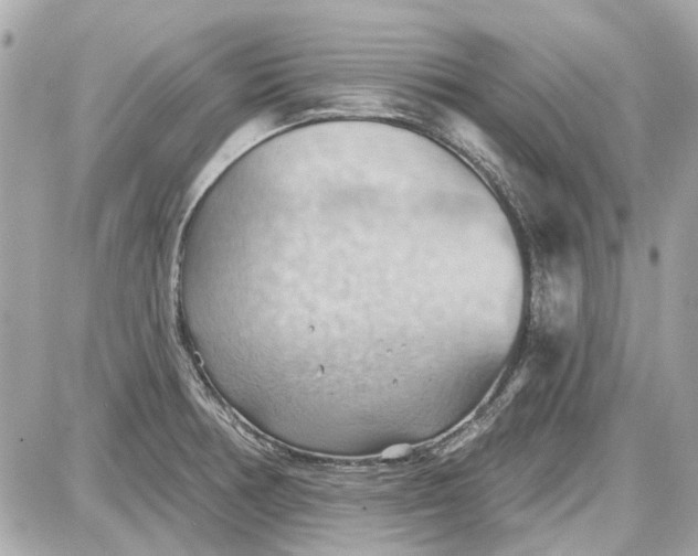 X0000087591378200705112252