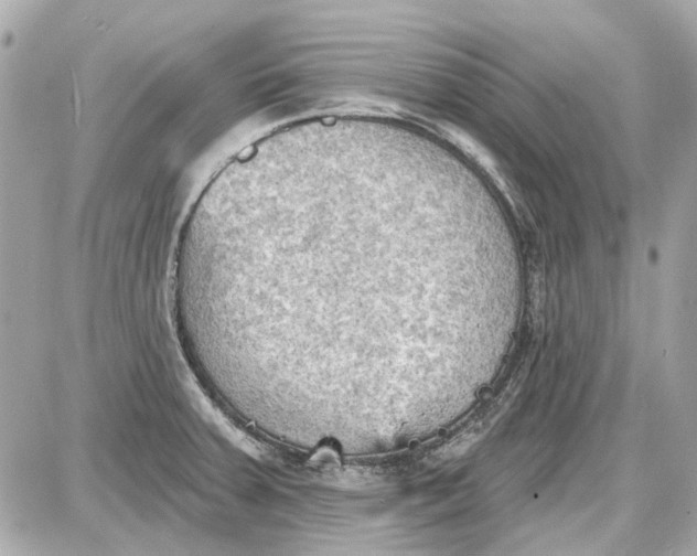 X0000087591379200705112252