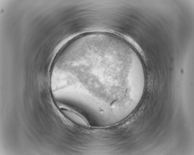 X0000087591380200705112252