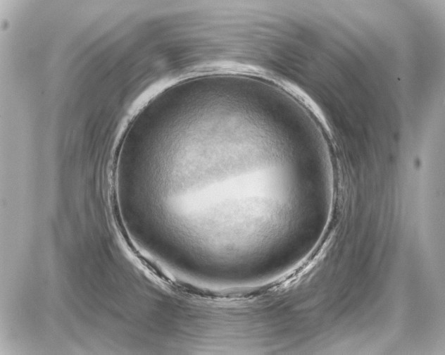 X0000087591381200705112252