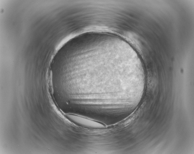 X0000087591382200705112252