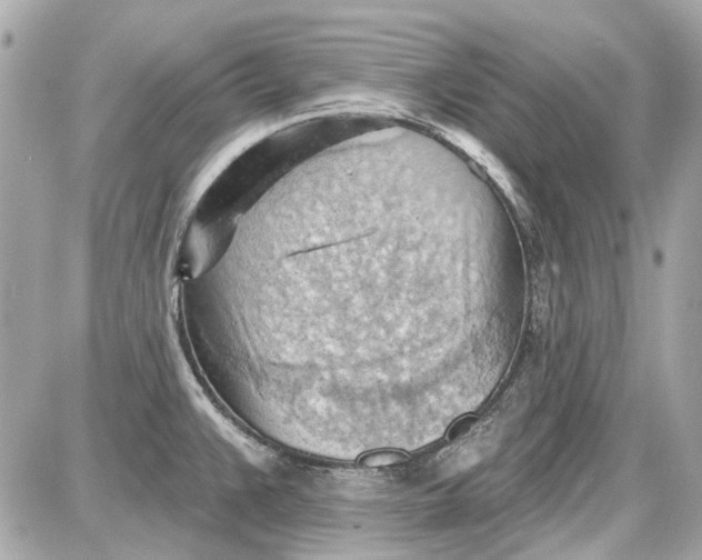 X0000087591383200705112252