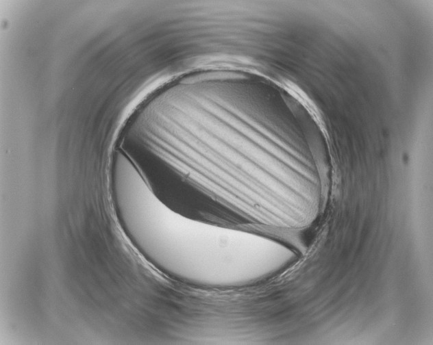 X0000087591384200705112252