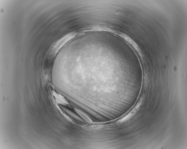 X0000087591385200705112252