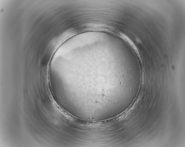 X0000087591386200705112252