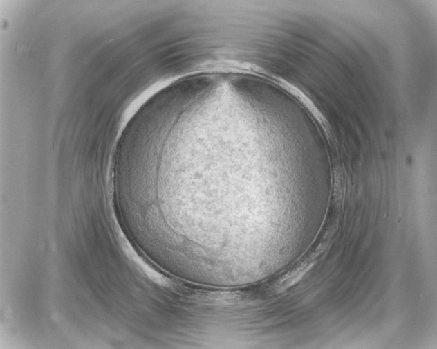 X0000087591387200705112252