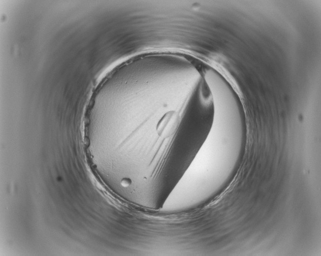 X0000087591388200705112252