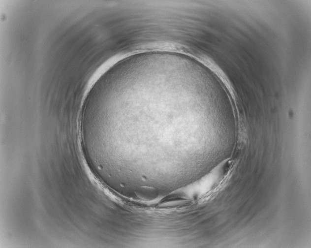 X0000087591389200705112252