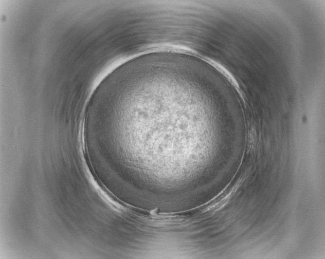 X0000087591391200705112252