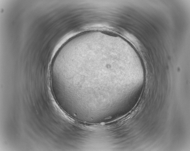 X0000087591392200705112252