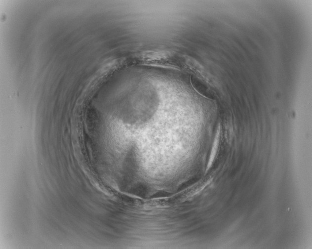 X0000087591393200705112251