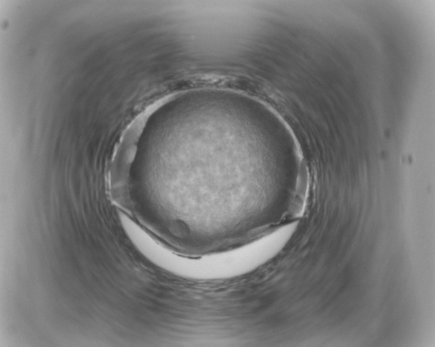 X0000087591394200705112251