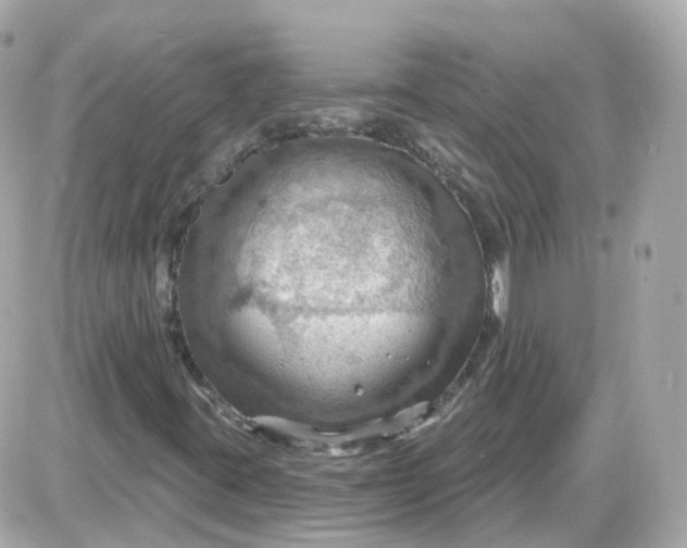 X0000087591395200705112251