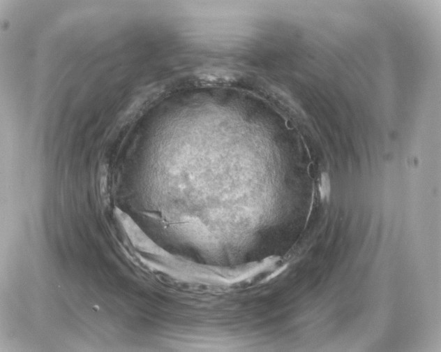 X0000087591396200705112251