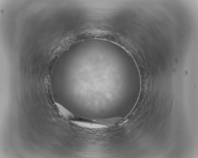 X0000087591397200705112251