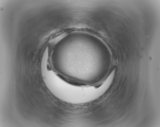 X0000087591398200705112251