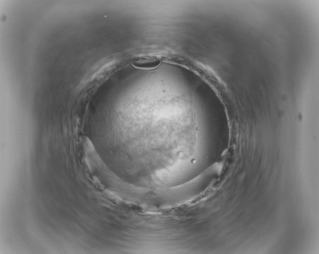 X0000087591399200705112251