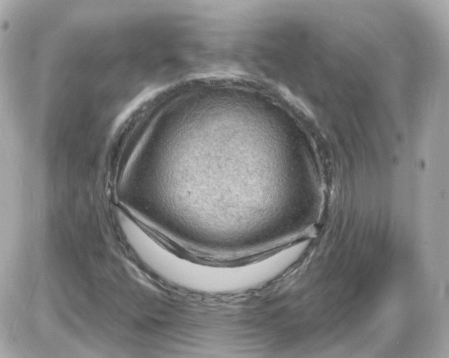 X0000087591400200705112251