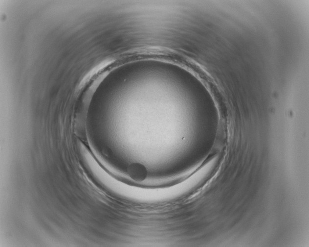 X0000087591402200705112251